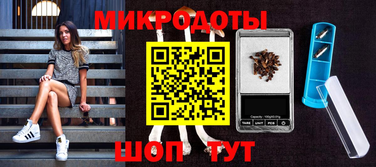 Магадан  Галлюциногенные грибы Psilocybine cubensis  Псилоцибиновые грибы Psilocybine cubensis  Вход с VPN 