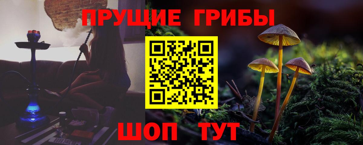 Галлюциногенные грибы Psilocybine cubensis Магадан